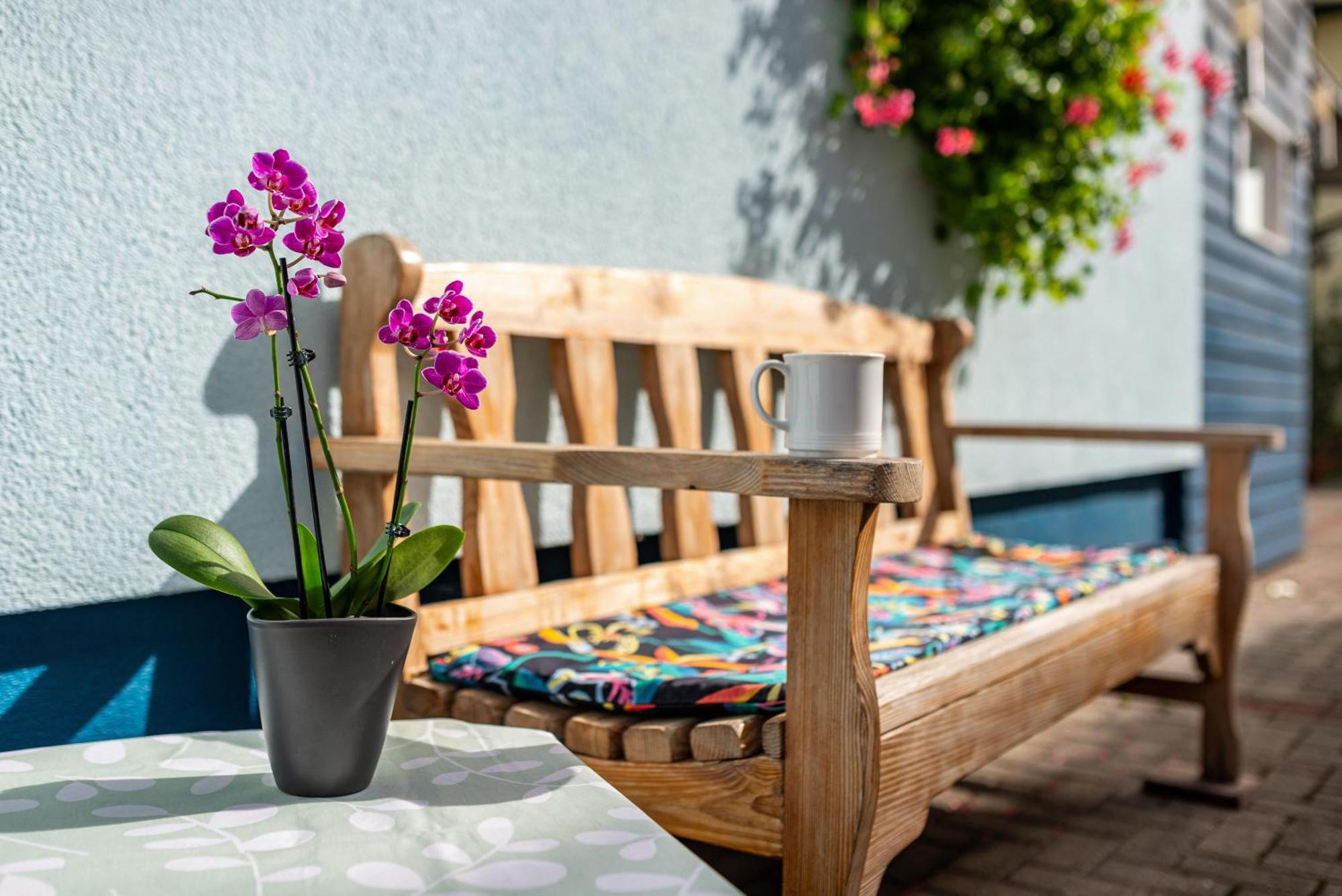 Ferienwohnung Blaues Haus Ubstadt-Weiher Dış mekan fotoğraf